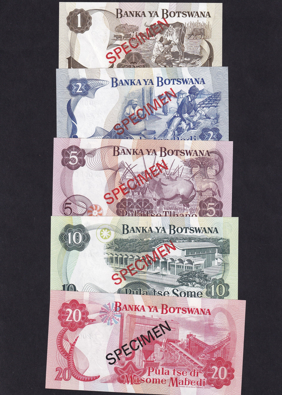 Botswana (PCS1) 1 - 20 Paula specimen set (5 notes) collector series, no.009952, UNC