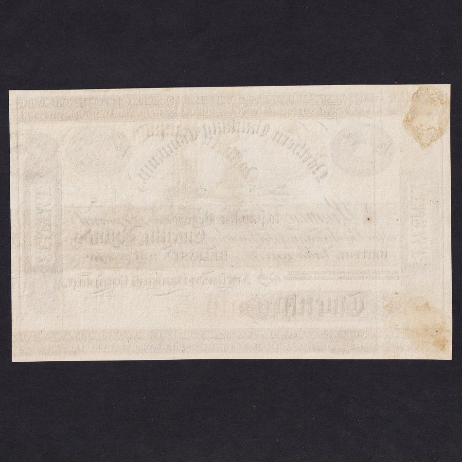 Northern Ireland, (NR27) Northern Bank, £20, C1873, Obverse Proof on paper, 34 Branches, mount marks otherwise EF