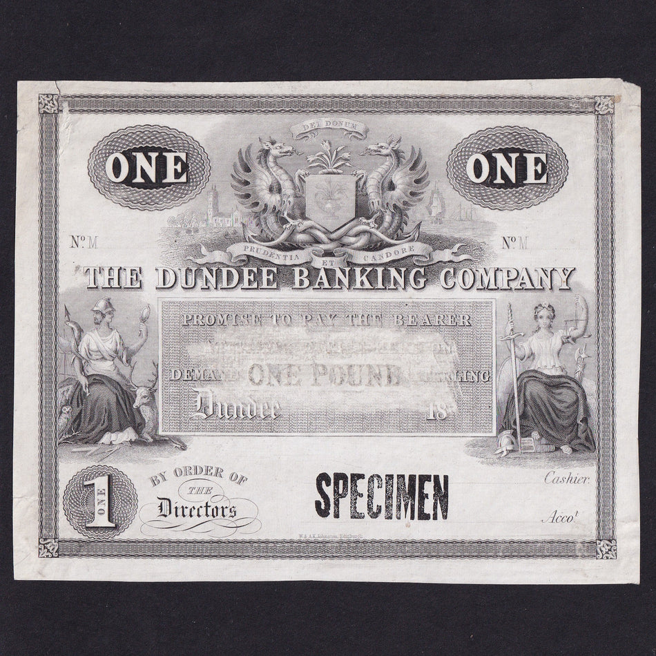 Scotland, Dundee Banking Company, £1 obverse specimen, W. AK Johnston, DB19b, some print removed centre, small tear, Fine