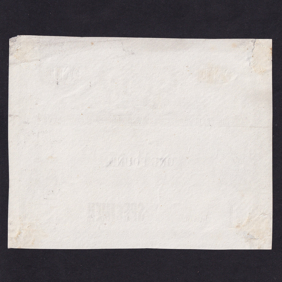 Scotland, Dundee Banking Company, £1 obverse specimen, W. AK Johnston, DB19b, some print removed centre, small tear, Fine