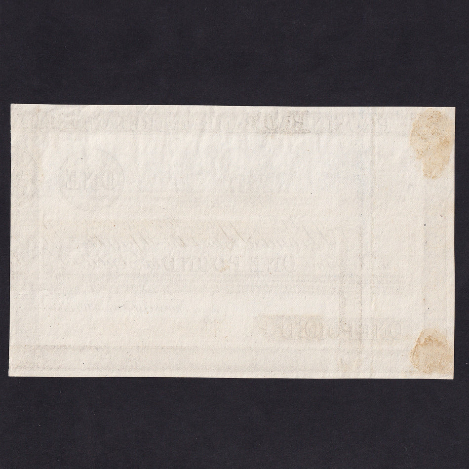 Ireland, £1 proof on paper, Provincial Bank of Ireland, 1st November 1873, no signatures or serial numbers, pencil annotation in signature strip, light mounting traces reverse, PMI PR51, Pick 320p, A/UNC