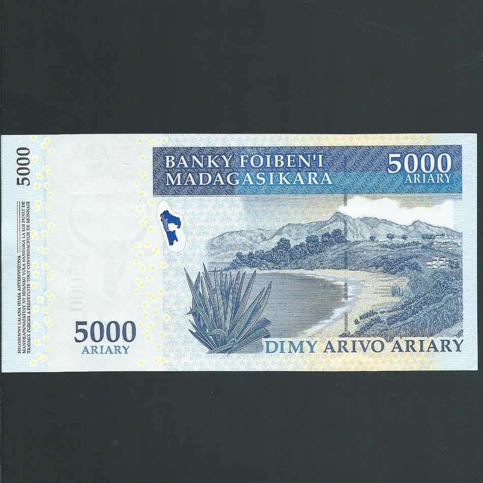 Madagascar (P94) 5000 Ariary, 2008, MAP Madagascar Action Plan, UNC